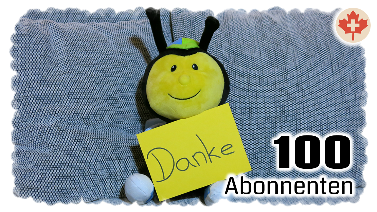 100 YouTube Abonnenten erreicht! Herzlichen Dank!