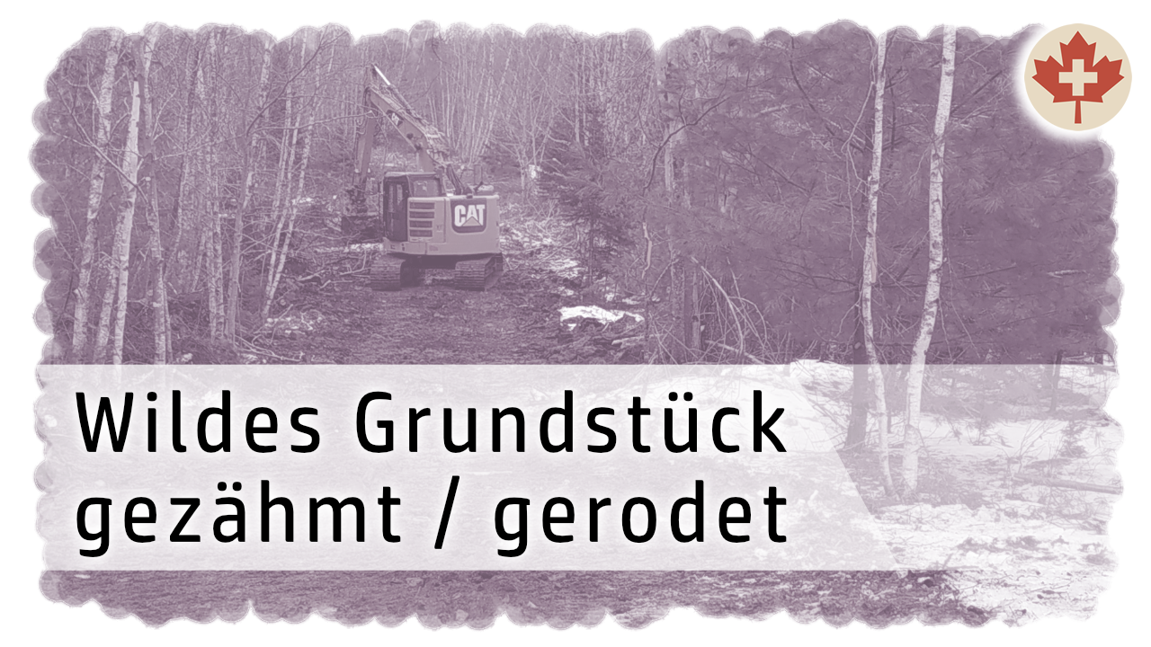 Unser wildes Grundstück - Wie die Rodung vorwärts geht und was man dabei beachten und planen muss